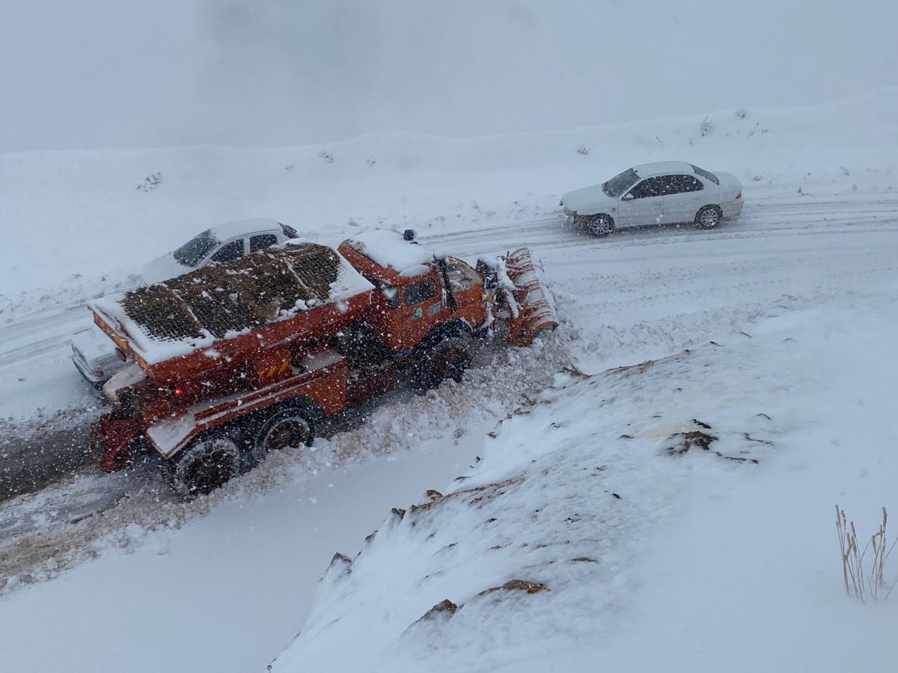 بارش برف و باران در استان فارس