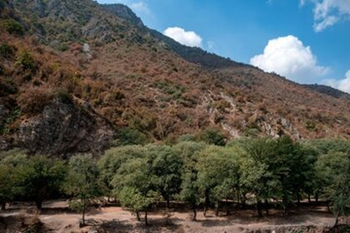 هیرکانی انبار باروت؛ طبیعت گردی در مازندران تا اطلاع بعدی ممنوع شد