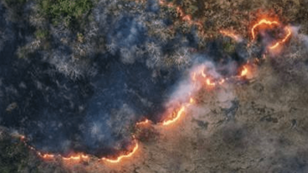 آتش هیرکانی در ۵ نقطه جنگل‌های شمال/ چرا مهار دیرهنگام شد؟