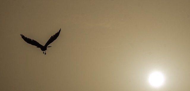 افزایش آلودگی هوای تهران تا اواخر هفته