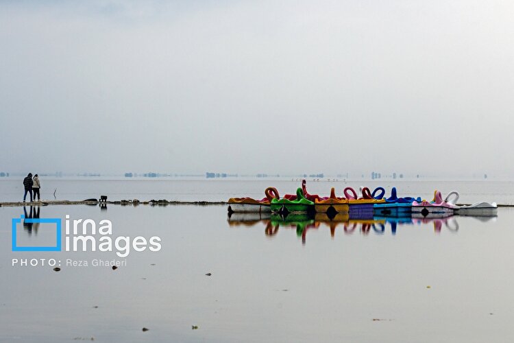 تصاویر |  دریاچه مهارلو زنده شد؛ بازگشت فلامینگوها