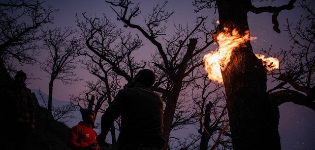 سازمان منابع طبیعی: دخالت انسان در آتش‌سوزی الیت قطعی است