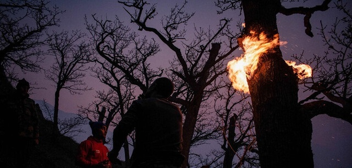 سازمان منابع طبیعی: دخالت انسان در آتش‌سوزی الیت قطعی است