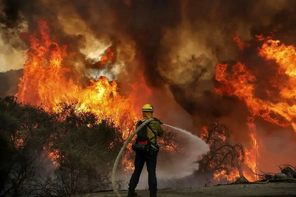 عامل انسانی حریق الیت تأیید شد/ بررسی علت دقیق ادامه دارد