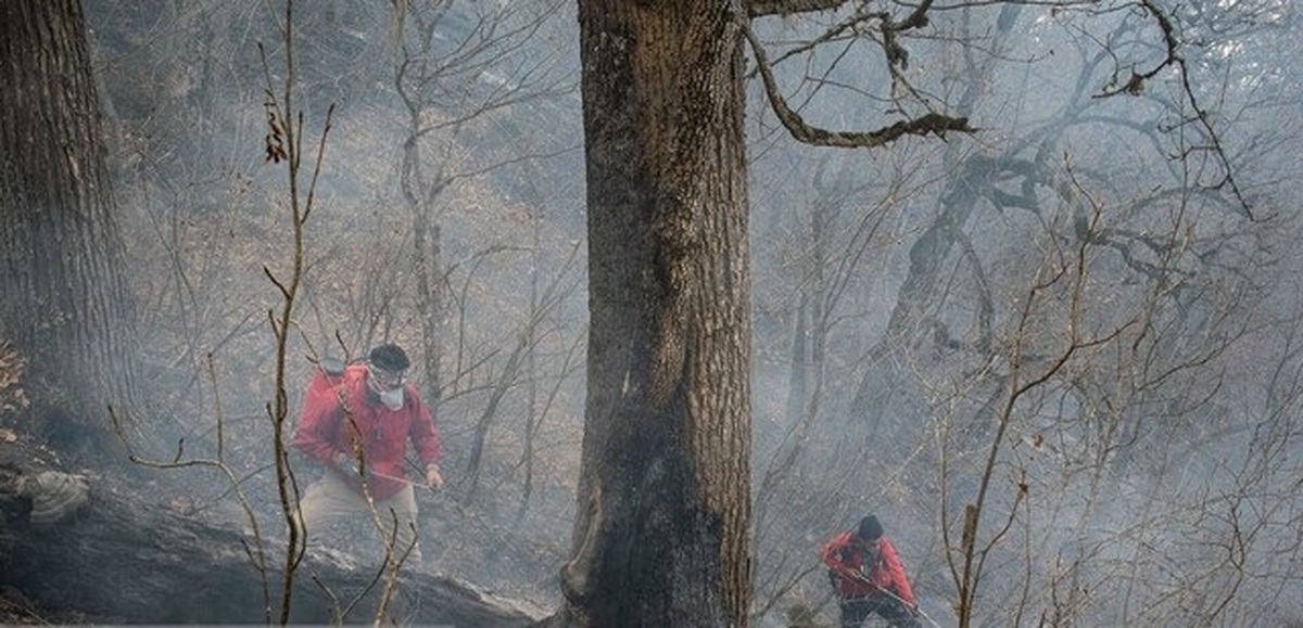 چرا برای مهار آتش سوزی جنگل‌های الیت دیر بالگرد اعزام شد؟
