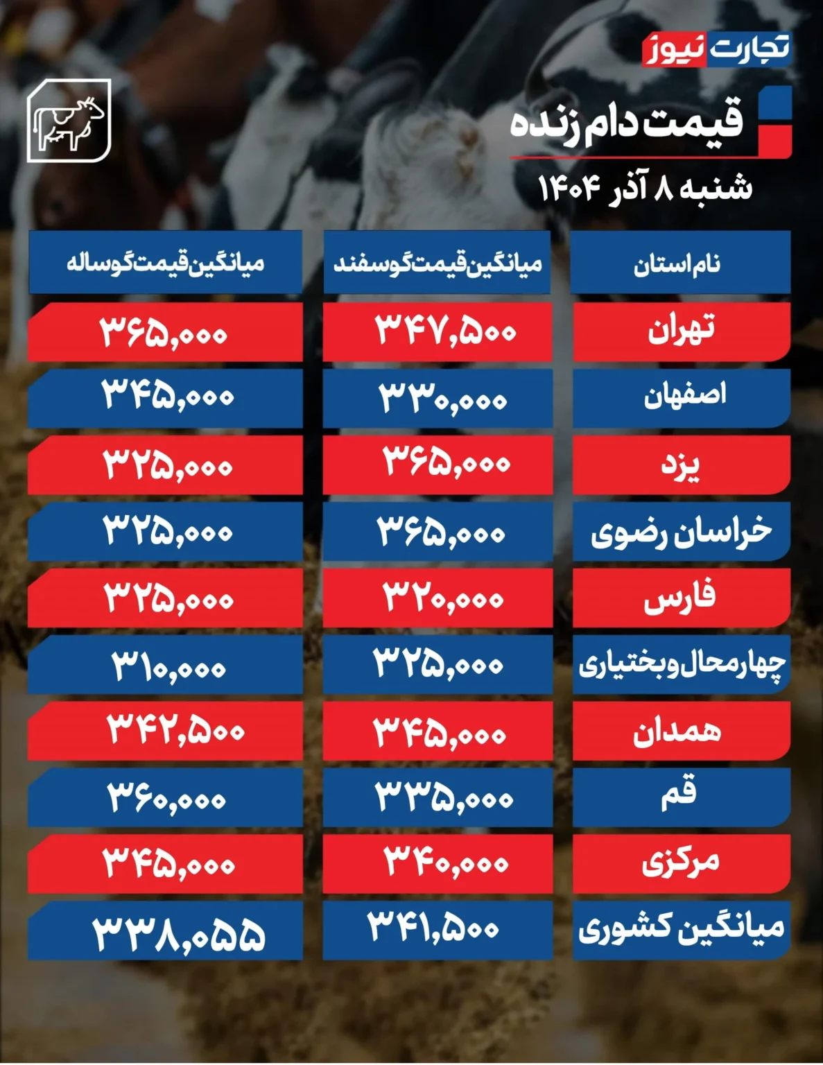 قیمت دام زنده امروز شنبه ۱۴۰۴/۰۹/۰۸+ جدول