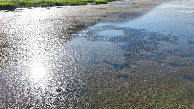 بحران آب تهران به مرز تنش جدی رسید
