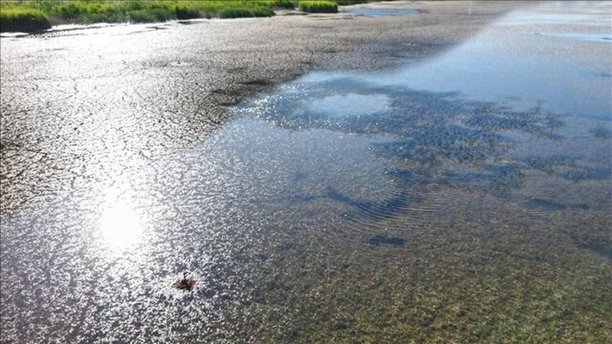بحران آب تهران به مرز تنش جدی رسید