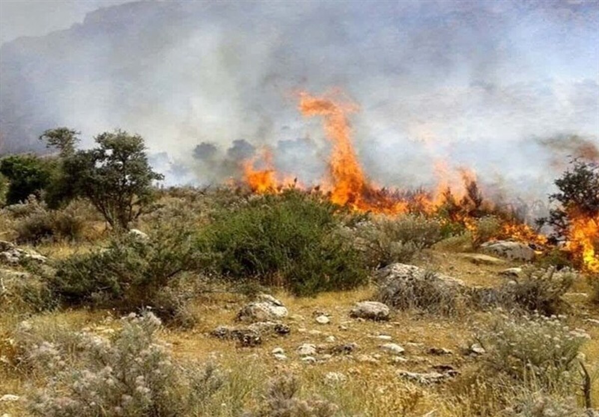 آتش‌سوزی گسترده ‌جنگل‌های الیت چگونه مهار شد؟