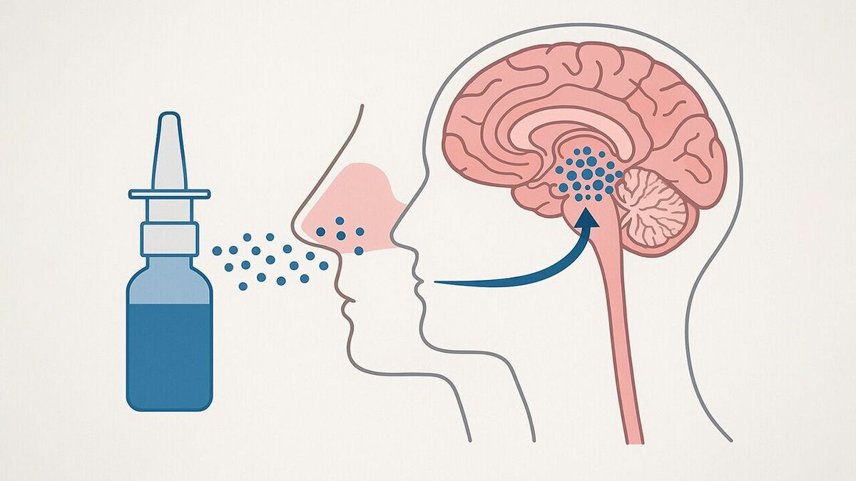 طراحی دارویی به صورت قطرهٔ بینی برای حذف تومور‌های مغزی