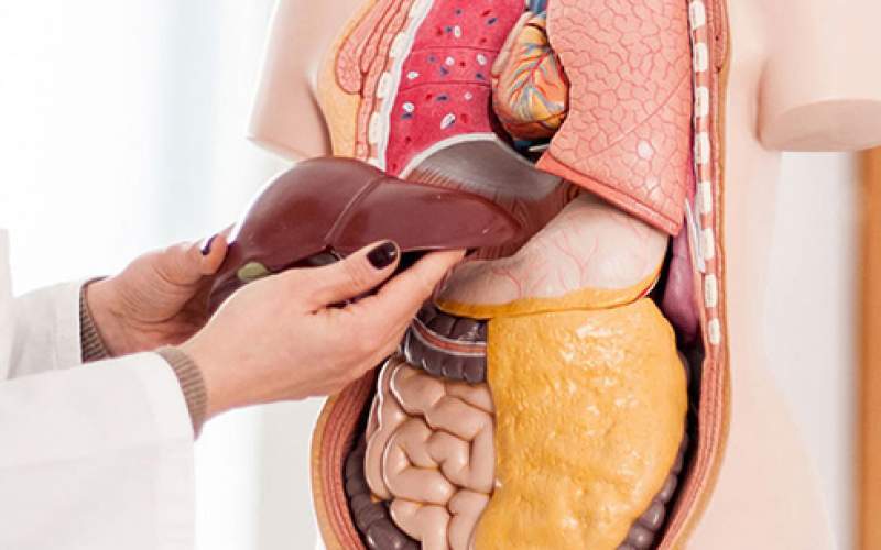 راهکار‌های طلایی برای پیشگیری از بیماری‌های کبدی