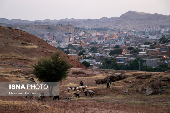 محله چشمه روباه درنزدیکی فرودگاه نظامی ارتش که بعلت دشت‌های اطرافش محل چرای گوسفندان است.

