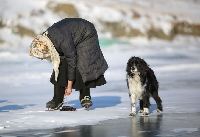 لیوبوف مورخودوا ۷۹ ساله اهل روستایی در استان ایرکوتسک روسیه با سگش در حال پوشیدن کفش های اسکیت