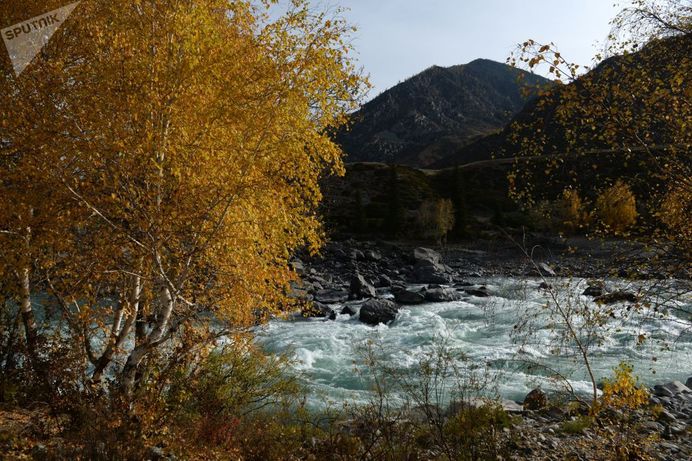 رودخانه کاتون در جمهوری آلتای