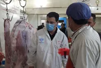 رییس سازمان دامپزشکی: سلامت غذایی کشور تحت نظارت است