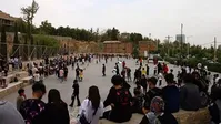 پس لرزه تجمع تفریحی نوجوانان/ کافه‌های دهه‌نودی‌های شیراز را فله‌ای بستند