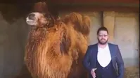 تبلیغ‌کننده مزایای نوشیدن ادرار شتر بازداشت شد