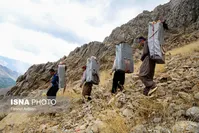 تصاویر| «کولبران» کوهستان