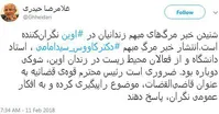 درخواست نماینده مجلس از رئیس قوه قضائیه درباره مرگ یک استاد دانشگاه در زندان