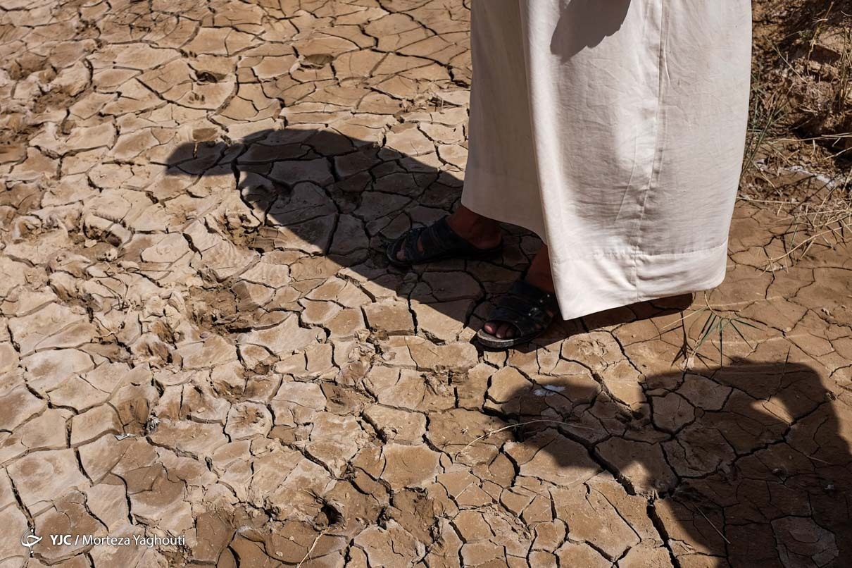 منصوره