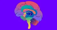 پنج گام موثر برای تقویت حافظه