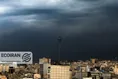 نفت