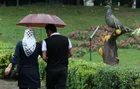هواشناسی ۱۴۰۵/۰۳/۲۷/ رگبار باران و رعدوبرق در ۸ استان