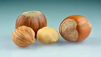به جای مصرف مولتی ویتامین مغز این میوه را بخورید
