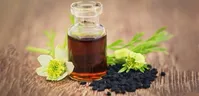 گیاهی مفید و ارزان قیمت که شما را سالم نگه می‌دارد