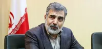 کمالوندی: ما و آژانس با هم راحت نیستیم