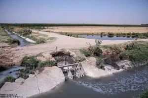 کشاورزی بزرگ‌ترین مصرف‌کننده پساب در ایران است/ تهران در صدر مصرف