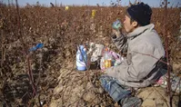 تصاویر| کودکان کار