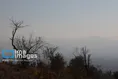 آلودگی هوا