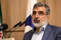 سخنگوی سازمان انرژی اتمی: یک قدم جلو رفتیم اما آینده خاکستری است