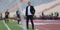 گل‌محمدی: حداقل هزینه ۳ تیم از پرسپولیس بالاتر است
