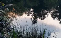تصاویر| مرداب سراوان