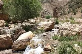 کرمان