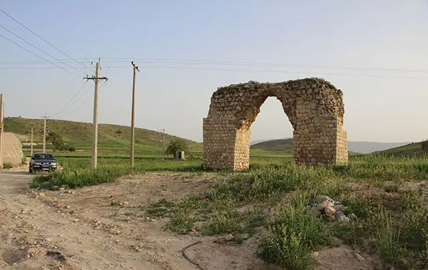 عکس&zwnj;ها از سیاوش آریا
