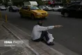 تالبی