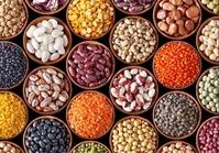 بهترین منابع پروتئین گیاهی برای عضله‌سازی