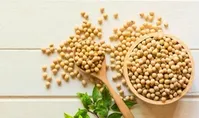 پروتئین گیاهی سویا با بدن شما چکار می‌کند؟