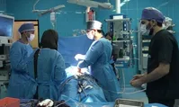 اعضای بدن انسان در باغ‌های پسته گلشن/ ماجرا چیست؟