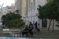 زمین لرزه در هرمزگان و قشم بوشهر