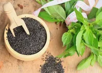 خاصیت‌های تخم ریحان که نمی دانستید
