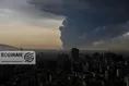 نفت