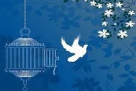 بخشش قاتل پس از 6 ماه