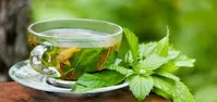 سیستم ایمنی بدن با دمنوش تقویت می‌شود؟