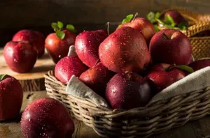تولید ۷۰۰ هزار تن سیب در آذربایجان‌شرقی
