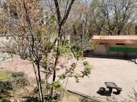 حصار پارک قیطریه برداشته شد / قیطریه محوطه باستانی مهمی است