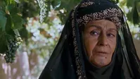 ژاله علو: هیچ چیزی جز عشق من را به سمت کار نمی‌برد